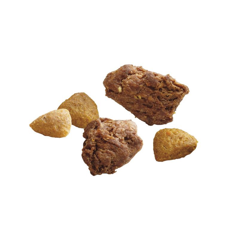 slide 2 of 9, Purina ONE SmartBlend True Instinct Natural Real Turkey & Venison Flavor Dry Dog Food - 36lbs, 36 lb