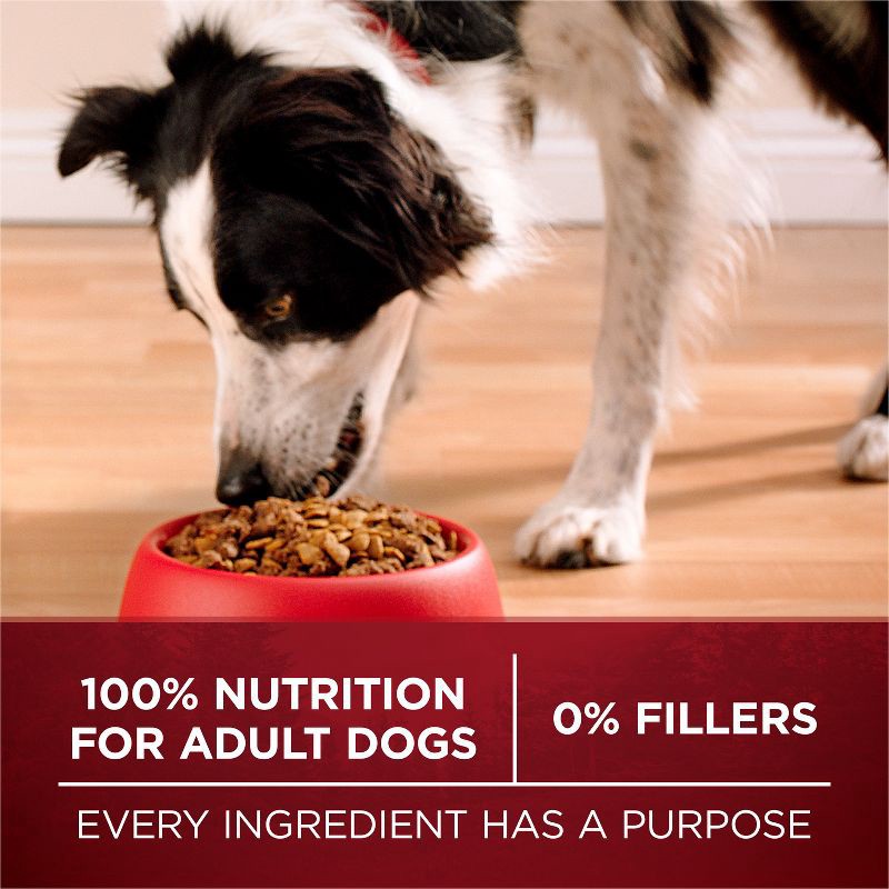 slide 4 of 9, Purina ONE SmartBlend True Instinct Natural Real Turkey & Venison Flavor Dry Dog Food - 36lbs, 36 lb