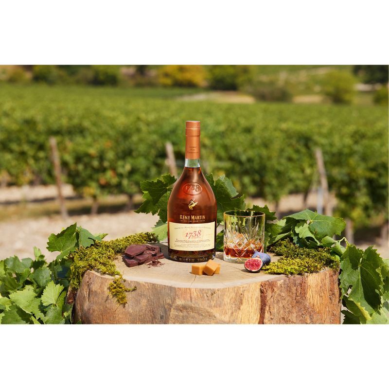 slide 19 of 20, Remy Martin 1738 Accord Royal Cognac - 750ml Bottle, 750 ml