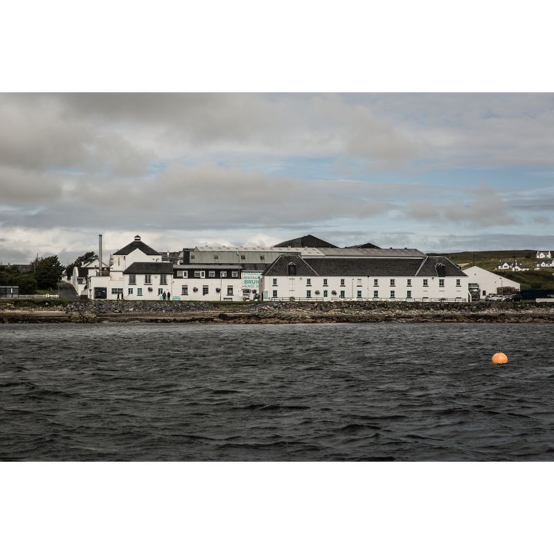 slide 12 of 21, The Botanist Islay Dry Gin - 750ml Bottle, 750 ml