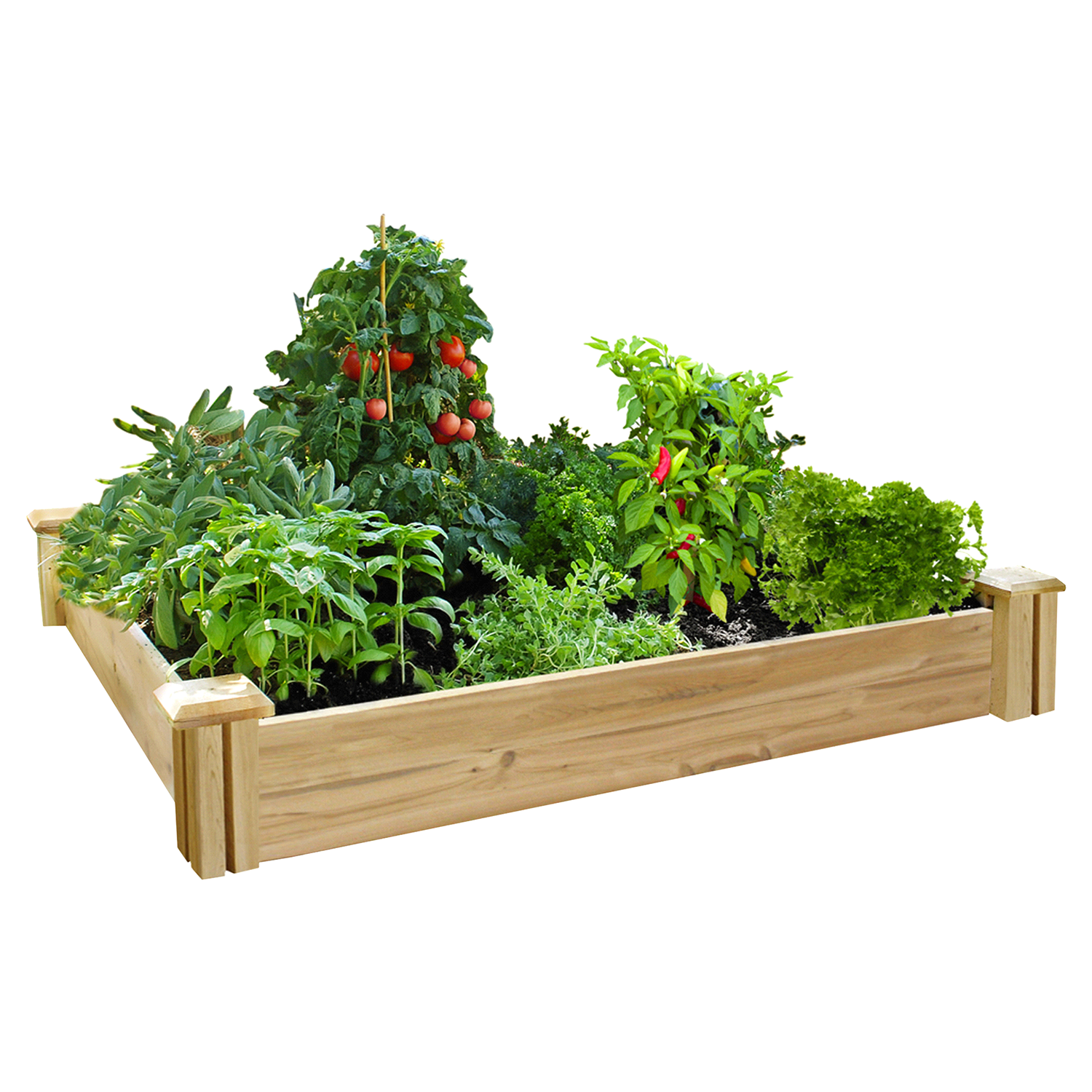 slide 1 of 1, Greenes Cedar Raised Garden Bed, 4' x 4' x 7', 4 ft