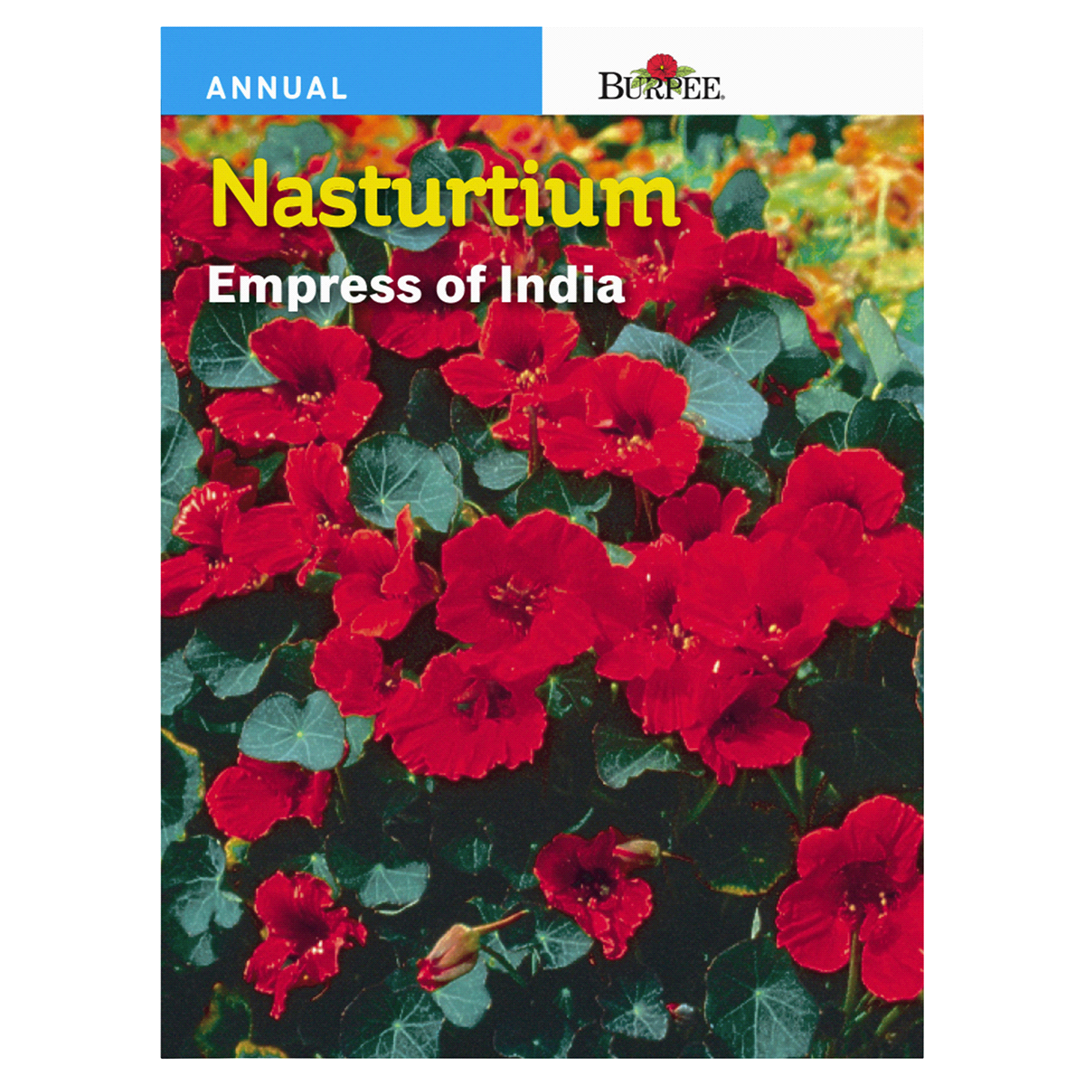 slide 1 of 1, Burpee Nasturtium Empress Of India Seeds - Red, 1 ct