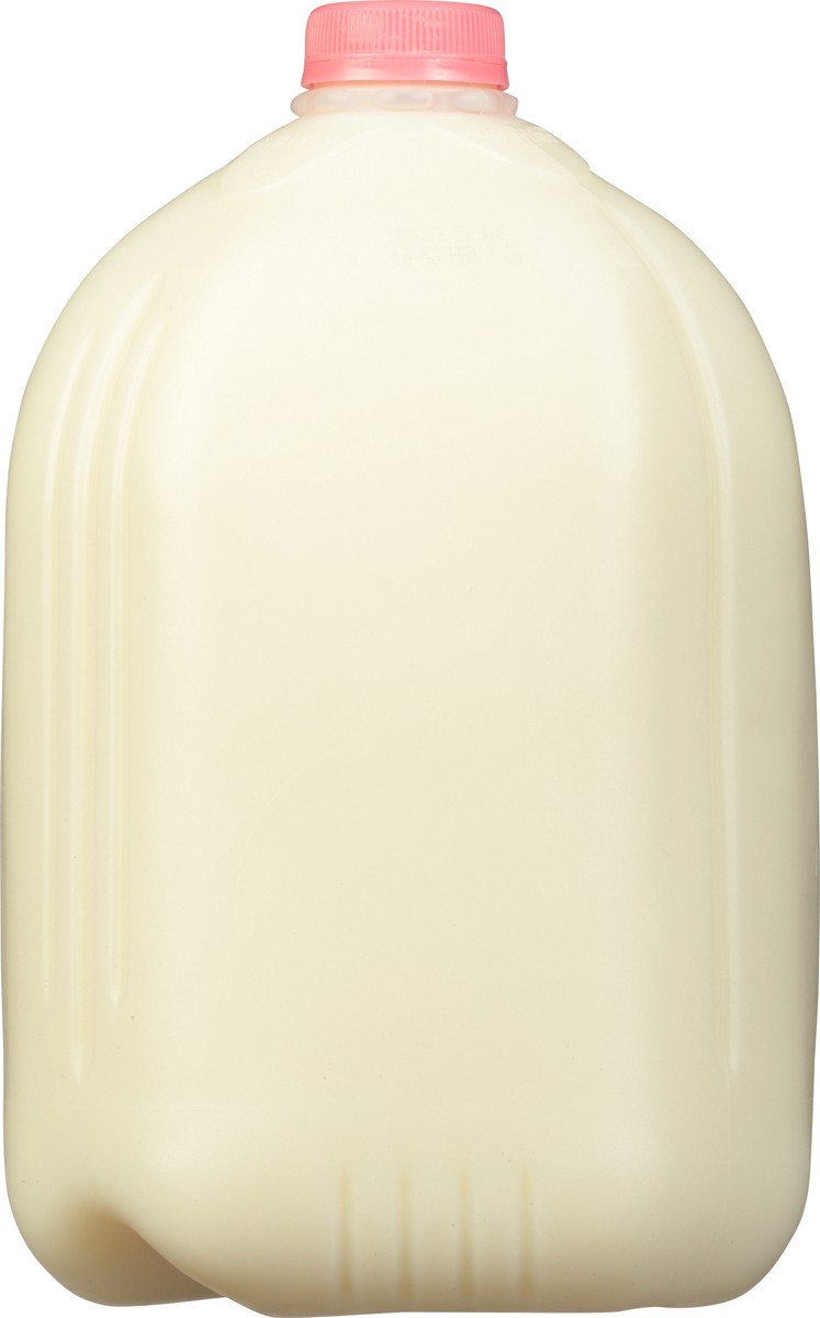 slide 8 of 9, That's Smart! Fat Free Skim Milk 1 gal, 1 gal