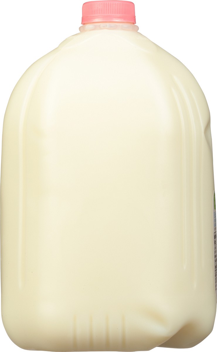 slide 9 of 9, That's Smart! Fat Free Skim Milk 1 gal, 1 gal