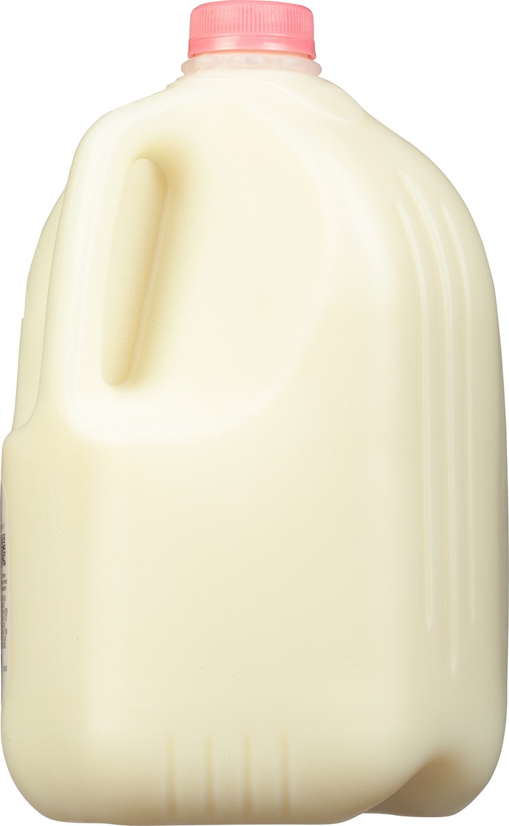 slide 5 of 9, That's Smart! Fat Free Skim Milk 1 gal, 1 gal