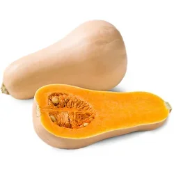 Organic Butternut Squash