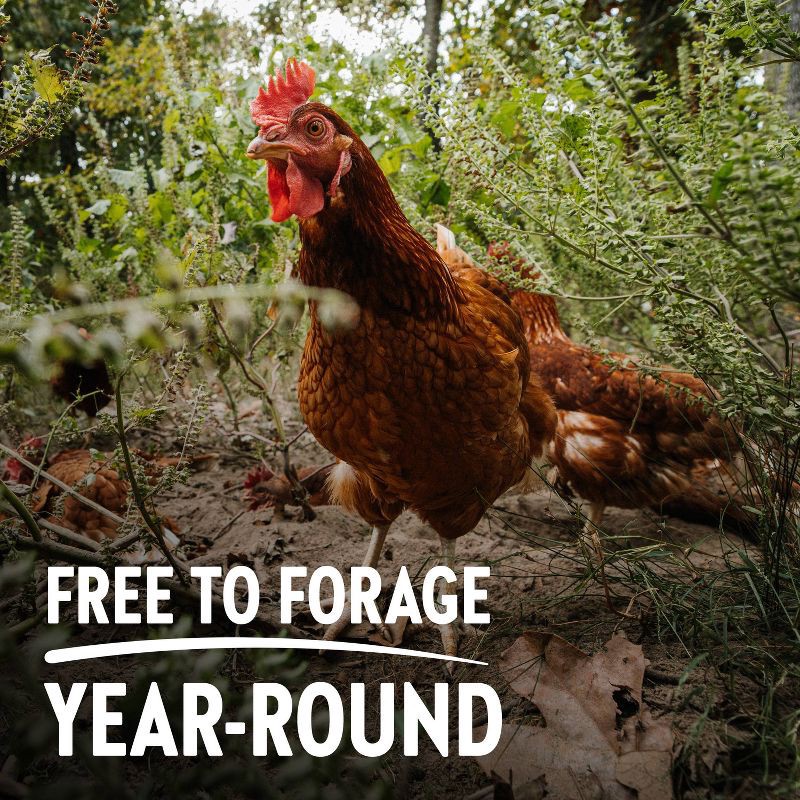 slide 4 of 5, Vital Farms Organic Pasture-Raised Grade A Large Eggs - 12ct, 12 ct