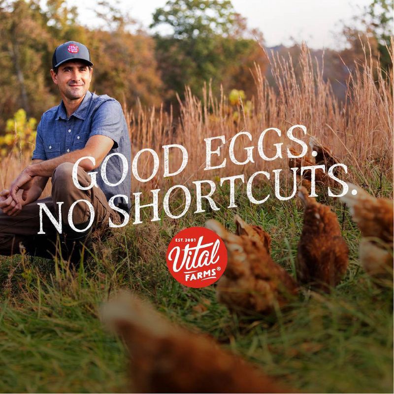 slide 6 of 9, Vital Farms Organic Pasture-Raised Grade A Large Eggs - 12ct, 12 ct