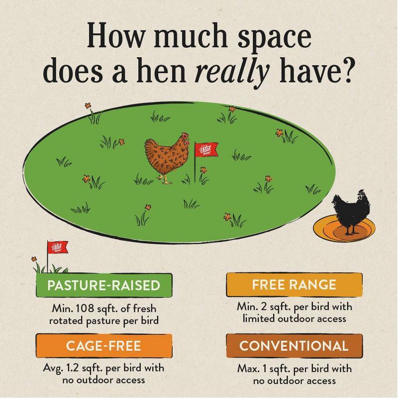 slide 7 of 9, Vital Farms Organic Pasture-Raised Grade A Large Eggs - 12ct, 12 ct