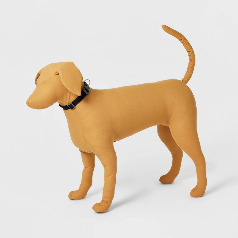 slide 3 of 3, Basic Dog Collar - M - Black - Boots & Barkley™, 1 ct