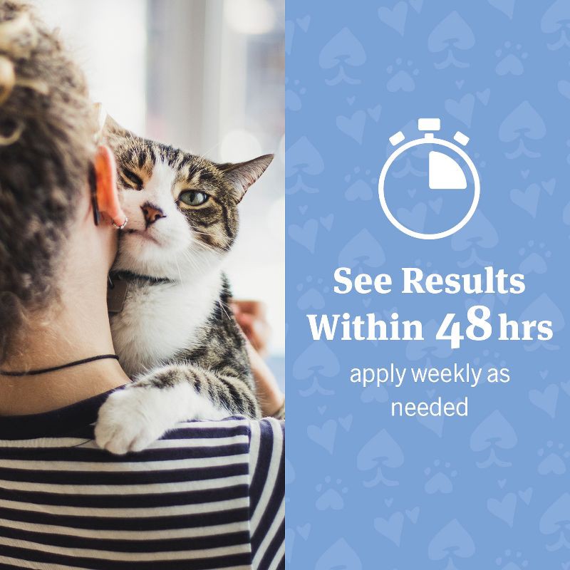 slide 5 of 8, PetArmor Antimicrobial Resistant Ear Rinse for Dogs - 4 fl oz, 4 fl oz