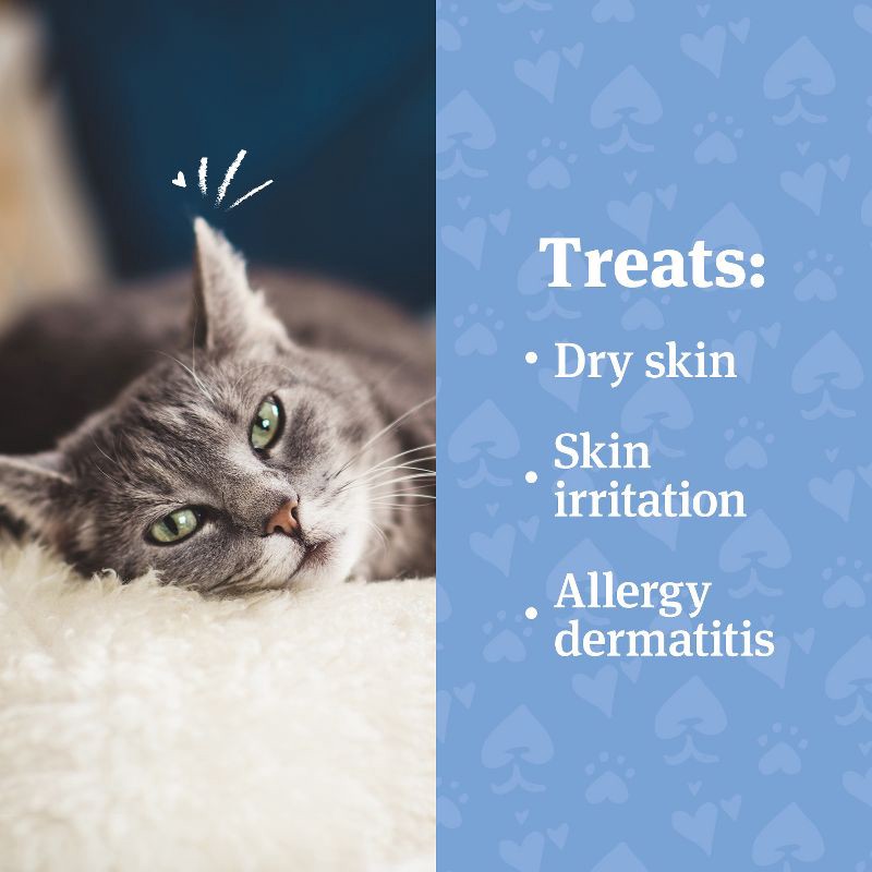 slide 2 of 8, PetArmor Anti-Itch Spray for Dogs & Cats - 4 fl oz, 4 fl oz