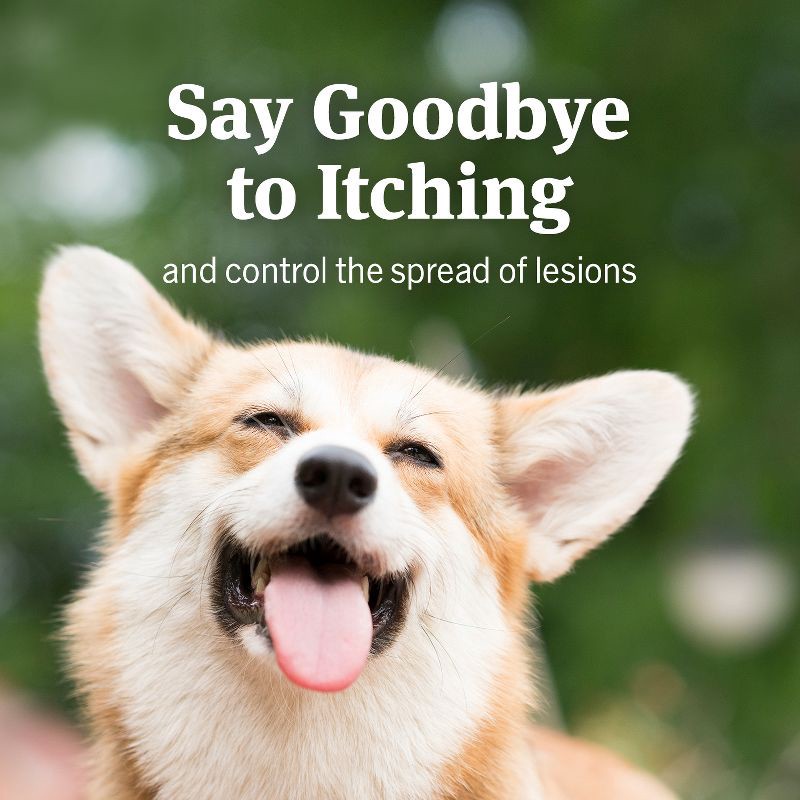 slide 5 of 8, PetArmor Anti-Itch Spray for Dogs & Cats - 4 fl oz, 4 fl oz