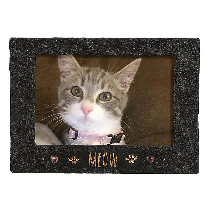 slide 1 of 1, Grasslands Road Cement Meow Picture Frame - Black, 4 in x 6 in