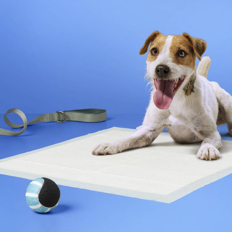 slide 2 of 4, Dog Training Pads - L - 25ct- up&up™, 25 ct