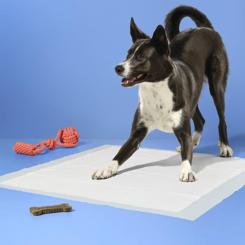 slide 2 of 6, Dog Training Pads - XL - 25ct - up&up™, 25 ct