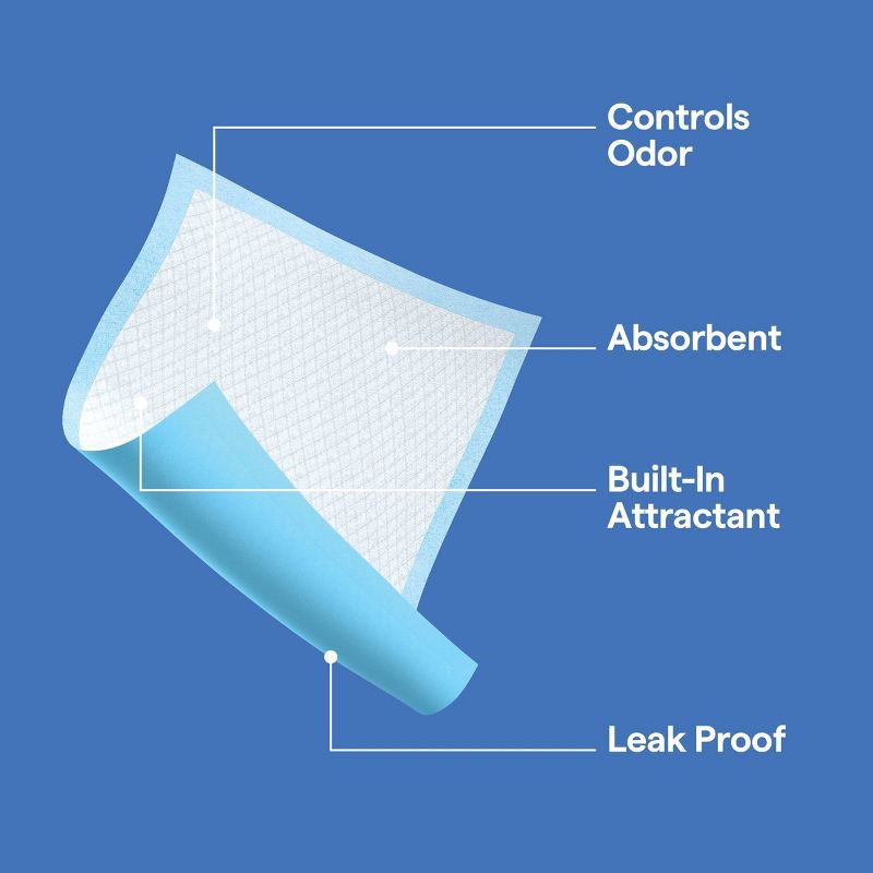 slide 5 of 6, Dog Training Pads - XL - 25ct - up&up™, 25 ct
