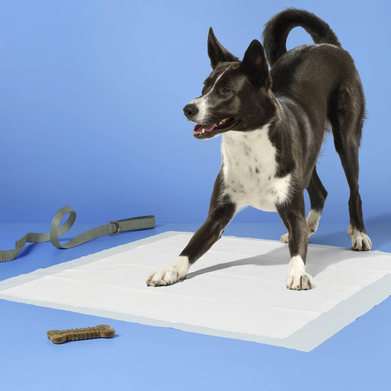slide 2 of 6, Dog Training Pads - XL - 100ct - up&up™, 100 ct