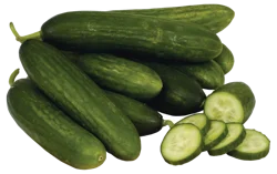 Persian Cucumber