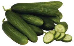 Persian Cucumber