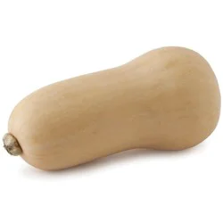 Butternut Squash