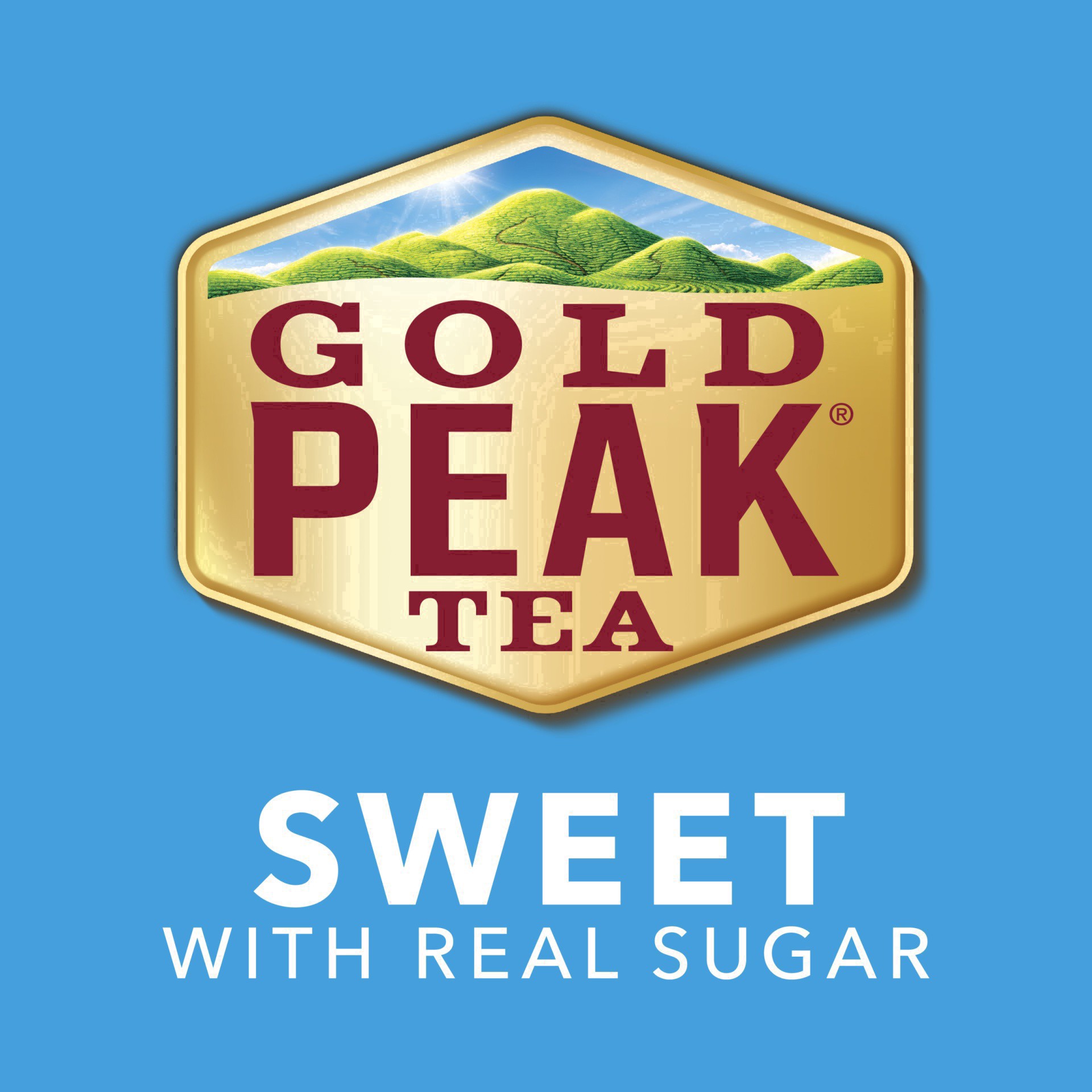 slide 84 of 131, Gold Peak Sweet Tea Bottles - 6pk/16.9 fl oz, 6 ct; 16.9 fl oz