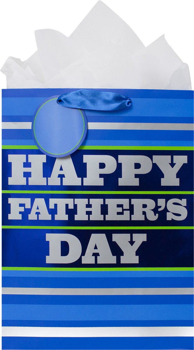 slide 2 of 4, Hallmark 13" Large Father's Day Gift Bag with Tissue Paper (Blue Stripes), 1 ea