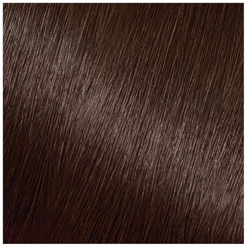 slide 3 of 6, Garnier Nutrisse Ultra Coverage 100% Gray Coverage Permanent Hair Color - 400 Deep Dark Brown, 1 ct