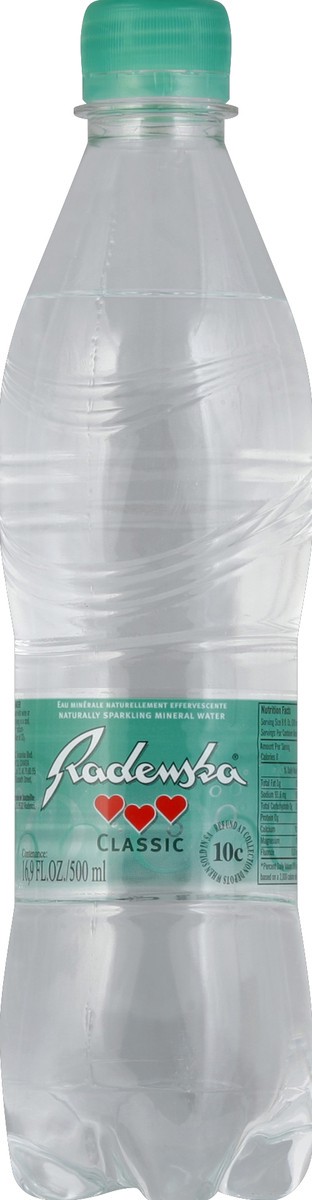 slide 1 of 4, Radenska Water - 16.9 fl oz, 16.9 fl oz