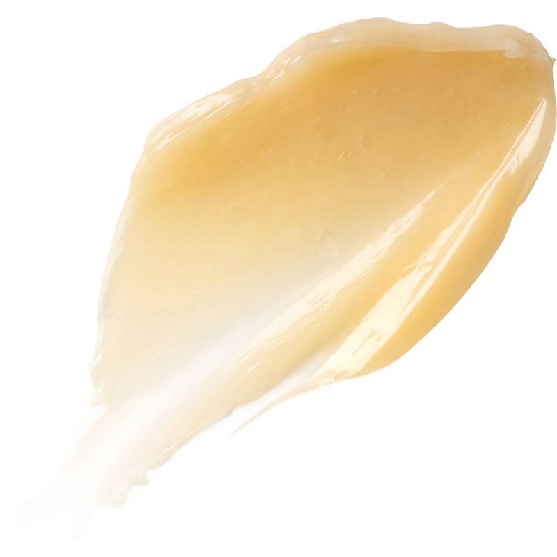 slide 10 of 12, Burt's Bees Natural Overnight Intensive Lip Treatment - Ultra-Conditioning Lip Care - 0.25oz, 0.25 oz