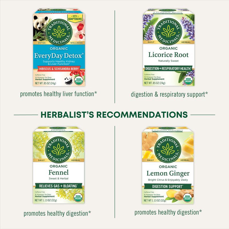 slide 3 of 12, Traditional Medicinals Traditional Spearmint - 16ct, 16 ct