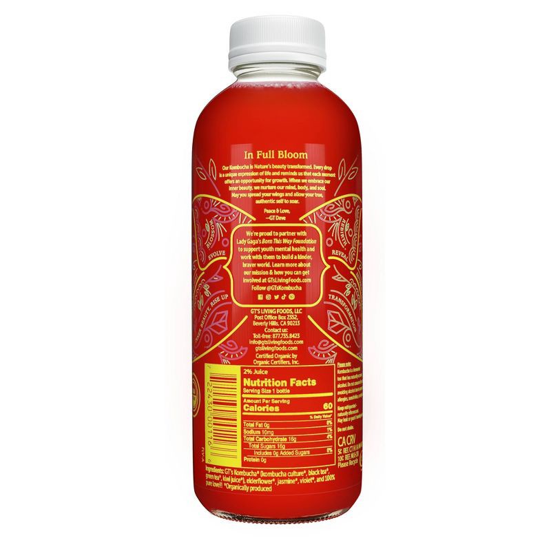 slide 2 of 2, GT's Synergy Seasonal Organic Kombucha - 16 fl oz, 16 fl oz