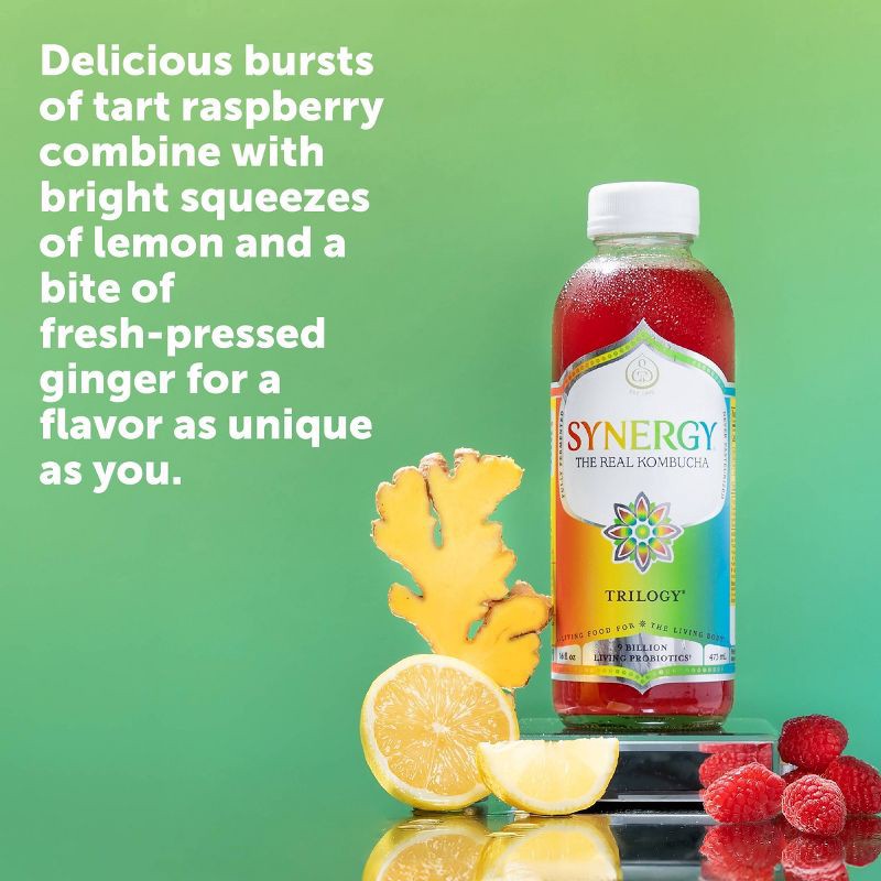 slide 6 of 8, GT's Synergy The Real Kombucha, Trilogy - 48oz, 48 oz