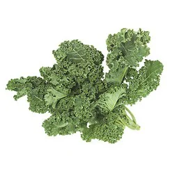 Fresh Kale Greens