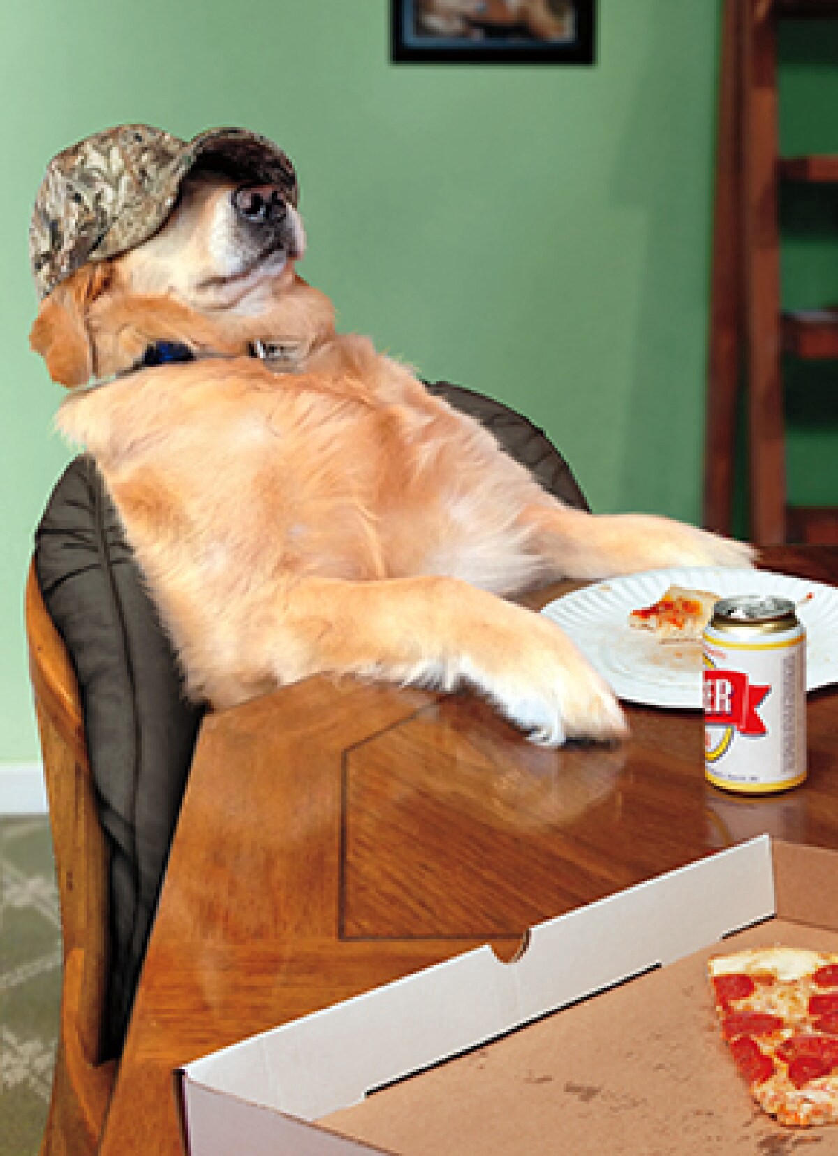 slide 1 of 1, Avanti Chill Dog With A Beer Card, 1 ct