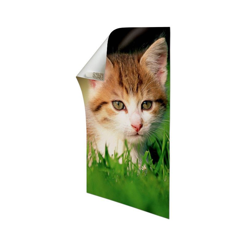 slide 13 of 13, Command Poster 136 Strips Mega Pack White: Picture Hanging Adhesive Strips, Heavy Duty, Plastic, 1.75" Length, 0.625" Width, 1 ct