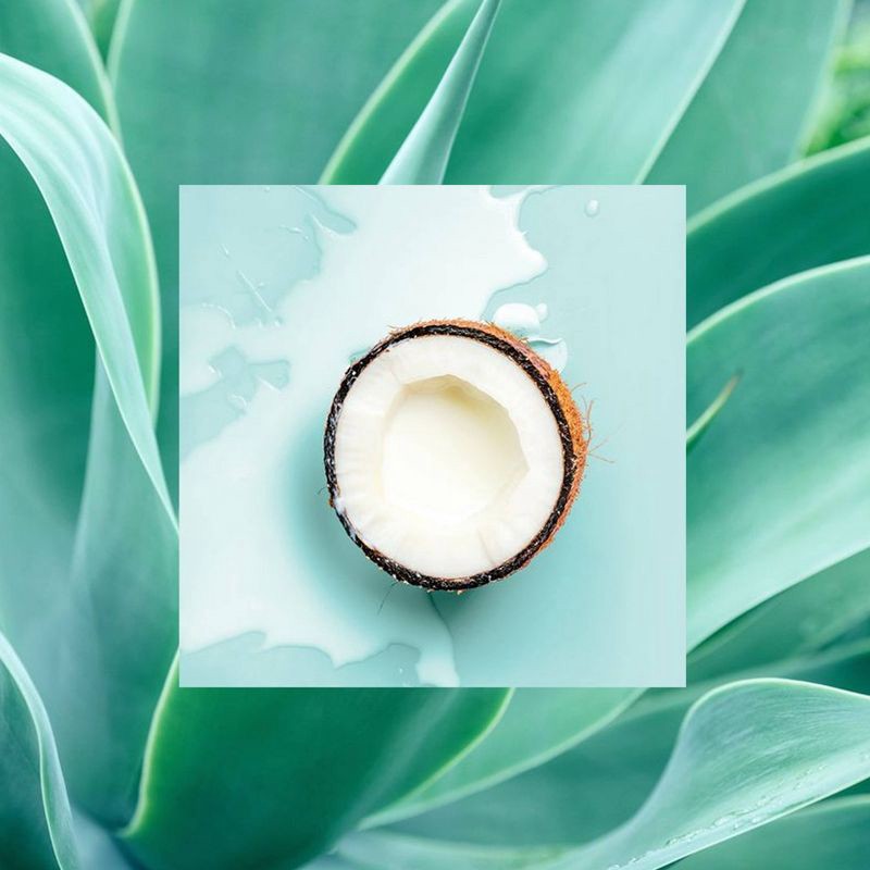 slide 9 of 12, Raw Sugar The Moisture Smoothie Shampoo - Coconut + Agave + Sweet Almond Milk - 18 fl oz, 18 fl oz