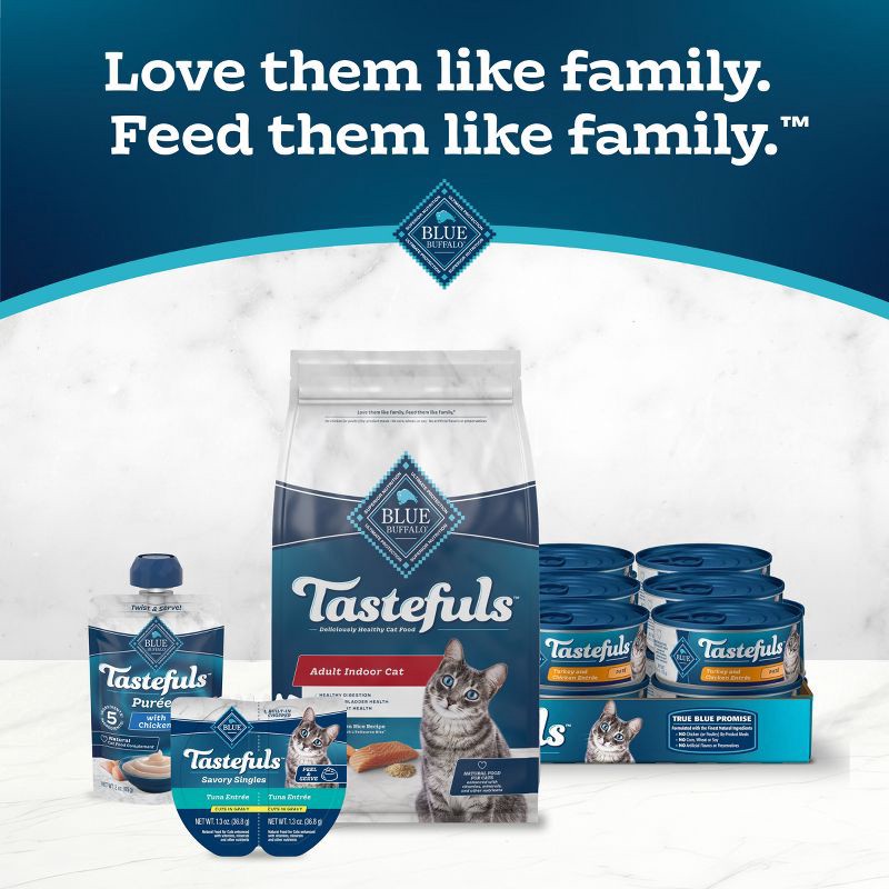 slide 9 of 10, Blue Buffalo Tastefuls with Salmon Indoor Natural Adult Dry Cat Food - 5lbs, 5 lb