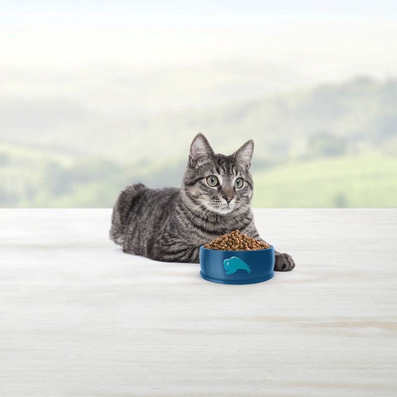 Blue buffalo dry cat food best sale sensitive stomach