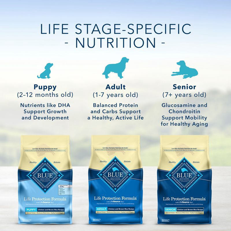 slide 7 of 9, Blue Buffalo Life Protection Formula Natural Senior Dry Dog Food with Chicken and Brown Rice - 5lbs, 5 lb