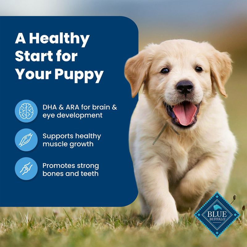 slide 4 of 10, Blue Buffalo Life Protection Formula Natural Puppy Dry Dog Food with Chicken and Brown Rice - 15lbs, 15 lb