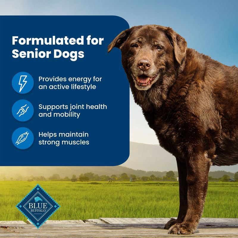 slide 4 of 11, Blue Buffalo Life Protection Formula Natural Senior Dry Dog Food with Chicken and Brown Rice - 15lbs, 15 lb