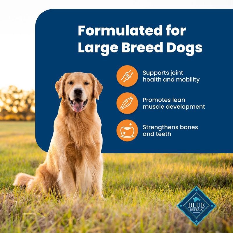 slide 8 of 11, Blue Buffalo Life Protection Formula Natural Adult Large Breed Dry Dog Food with Chicken and Brown Rice - 24lbs, 24 lb