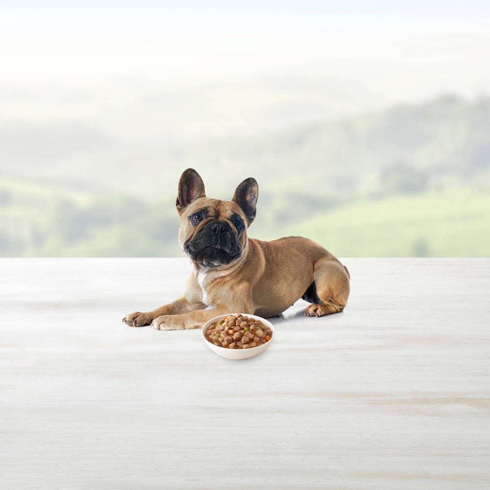 slide 4 of 4, Blue Buffalo Delights Grain Free In Gravy Small Breed Wet Dog Food Roasted Chicken Flavor, 3.5 oz
