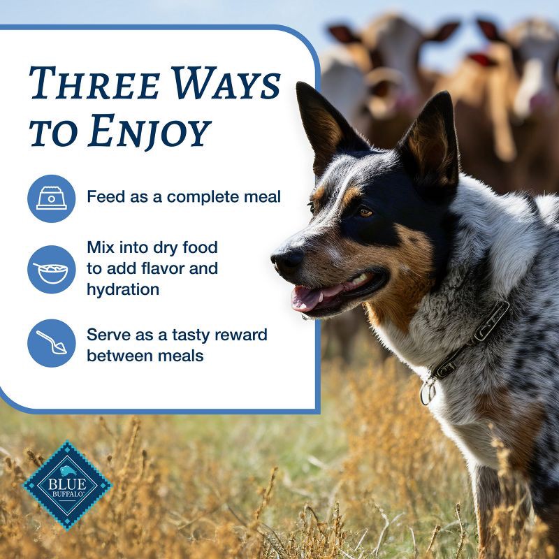 slide 6 of 10, Blue Buffalo Family Favorites Natural Adult Wet Dog Food with Sunday Chicken - 12.5oz, 12.5 oz