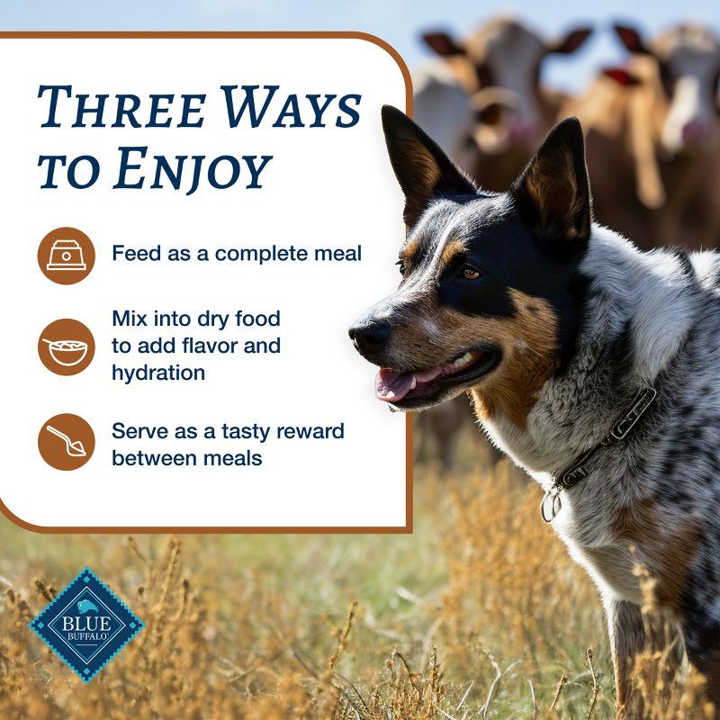 slide 7 of 10, Blue Buffalo Family Favorites Natural Adult Wet Dog Food with Turkey Day Feast - 12.5oz, 12.5 oz