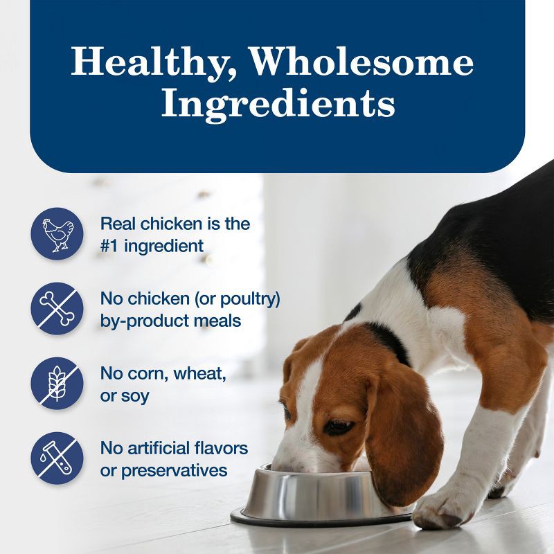 slide 6 of 10, Blue Buffalo Homestyle Recipe Natural Adult Wet Dog Food with Chicken Flavor - 12.5oz, 12.5 oz