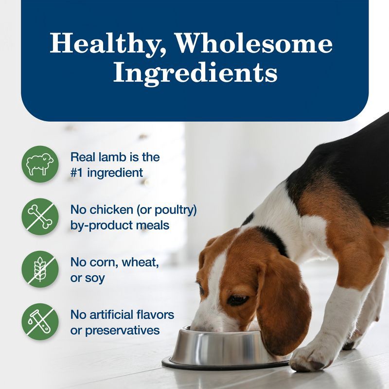 slide 6 of 11, Blue Buffalo Homestyle Recipe Natural Adult Wet Dog Food with Lamb Flavor - 12.5oz, 12.5 oz