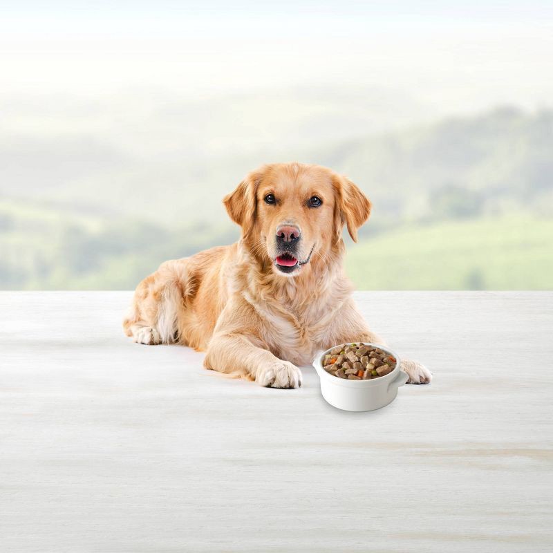 slide 4 of 4, Blue Buffalo Blue's Stew Natural Adult Wet Dog Food with Chicken Stew - 12.5oz, 12.5 oz