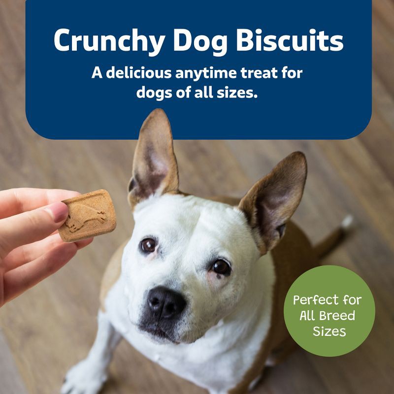 slide 4 of 9, Blue Buffalo Health Bars Natural Crunchy Dog Treats Biscuits with Apple & Yogurt Flavor - 16oz, 16 oz